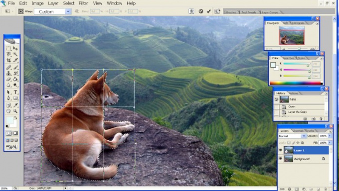 Tip 1: Hoe een fragment in Photoshop te selecteren