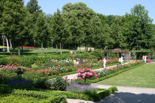 Attracties in Bern: Rose Garden