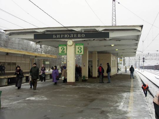 Platform Biryulyovo-Passagier