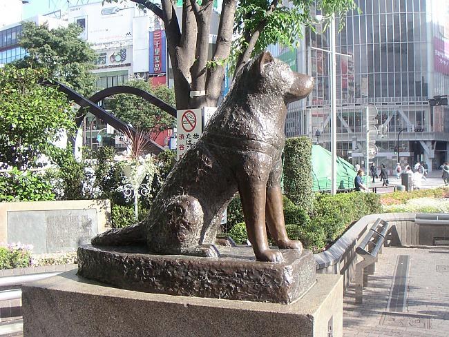 Monument voor de trouwe hond Hatiko is in Tokio