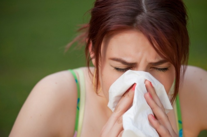 Hoe werkt de allergie voor honden