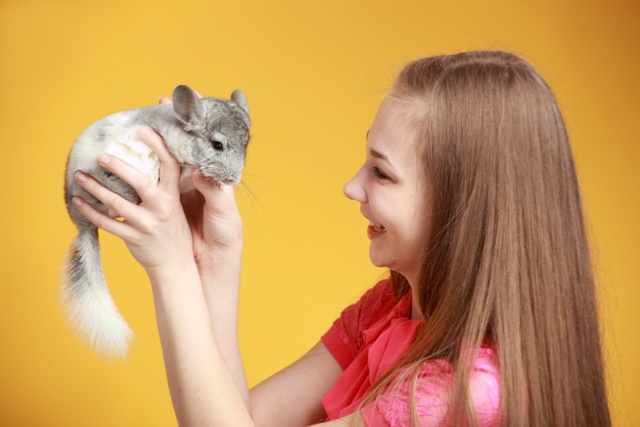 Zorg voor chinchilla's